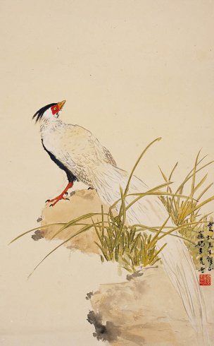 近现代 佚名 鸟 46x74[花鸟]