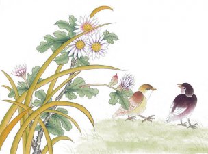 近现代 佚名 花鸟图册huaniaohua3_263[花鸟]