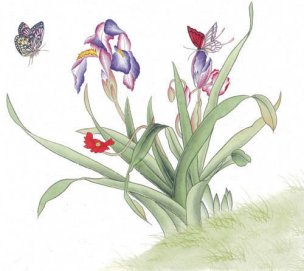 近现代 佚名 花鸟图册huaniaohua3_265[花鸟]