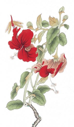 近现代 佚名 花鸟图册huaniaohua3_257[花鸟]
