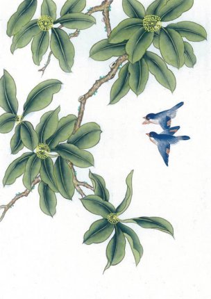 近现代 佚名 花鸟图册huaniaohua3_270[花鸟]
