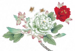 近现代 佚名 花鸟图册huaniaohua3_266[花鸟]