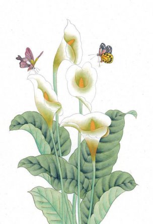近现代 佚名 花鸟图册huaniaohua3_250[花鸟]