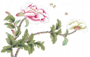 近现代 佚名 花鸟图册huaniaohua3_260[花鸟]