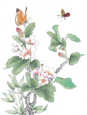 近现代 佚名 花鸟图册huaniaohua3_262[花鸟]