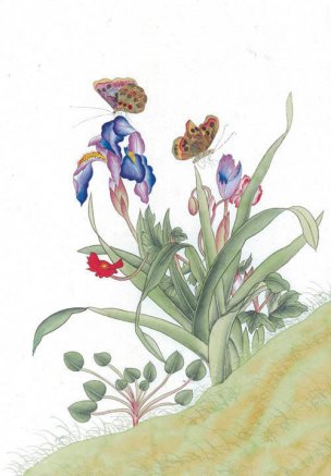 近现代 佚名 花鸟图册huaniaohua3_247[花鸟]