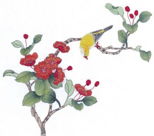 近现代 佚名 花鸟图册huaniaohua3_139[花鸟]