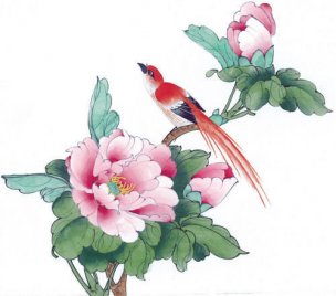 近现代 佚名 花鸟图册huaniaohua3_144[花鸟]