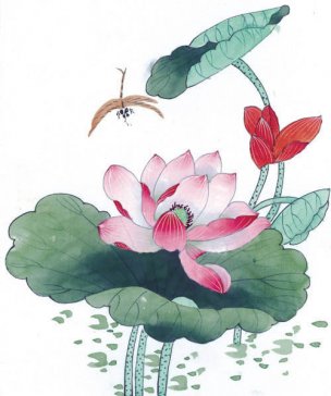 近现代 佚名 花鸟图册huaniaohua3_153[花鸟]