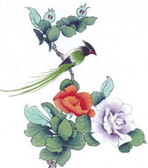 近现代 佚名 花鸟图册huaniaohua3_142[花鸟]