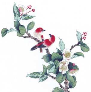 近现代 佚名 花鸟图册huaniaohua3_143[花鸟]