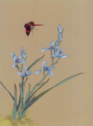 近现代 佚名 花鸟图册huaniaohua3_239[花鸟]