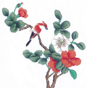 近现代 佚名 花鸟图册huaniaohua3_132[花鸟]