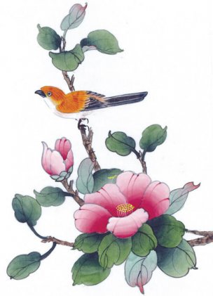 近现代 佚名 花鸟图册huaniaohua3_145[花鸟]