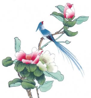 近现代 佚名 花鸟图册huaniaohua3_137[花鸟]