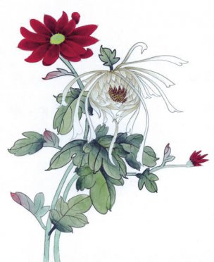 近现代 佚名 花鸟图册huaniaohua3_155[花鸟]