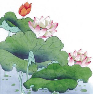近现代 佚名 花鸟图册huaniaohua3_154[花鸟]