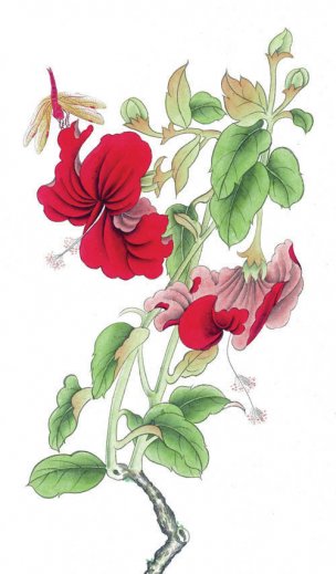 近现代 佚名 花鸟图册huaniaohua3_099[花鸟]