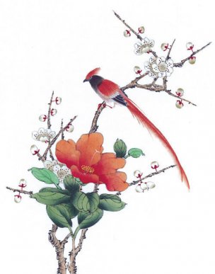 近现代 佚名 花鸟图册huaniaohua3_130[花鸟]
