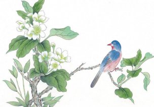 近现代 佚名 花鸟图册huaniaohua3_110[花鸟]