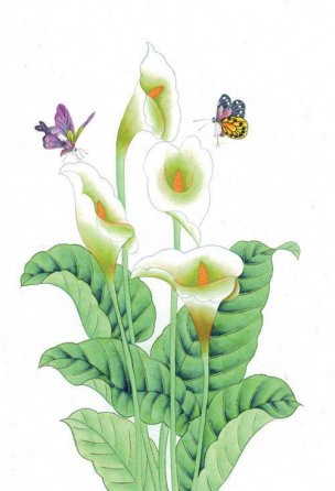 近现代 佚名 花鸟图册huaniaohua3_097[花鸟]