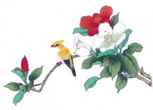 近现代 佚名 花鸟图册huaniaohua3_134[花鸟]