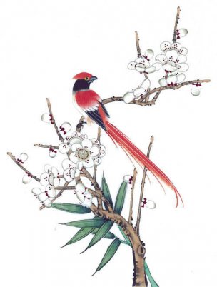 近现代 佚名 花鸟图册huaniaohua3_131[花鸟]