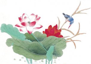 近现代 佚名 花鸟图册huaniaohua3_111[花鸟]