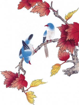 近现代 佚名 花鸟图册huaniaohua3_146[花鸟]