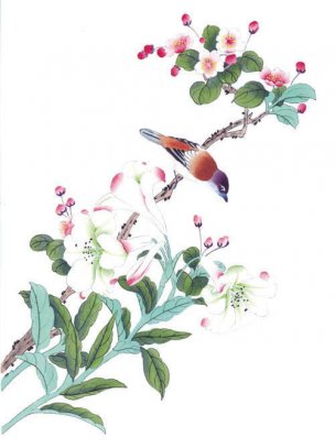 近现代 佚名 花鸟图册huaniaohua3_115[花鸟]