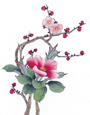 近现代 佚名 花鸟图册huaniaohua3_122[花鸟]