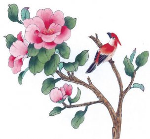 近现代 佚名 花鸟图册huaniaohua3_127[花鸟]