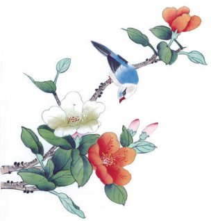 近现代 佚名 花鸟图册huaniaohua3_147[花鸟]