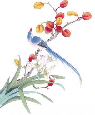 近现代 佚名 花鸟图册huaniaohua3_114[花鸟]