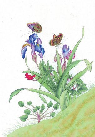 近现代 佚名 花鸟图册huaniaohua3_095[花鸟]