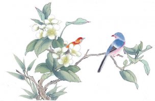 近现代 佚名 花鸟图册huaniaohua3_116[花鸟]
