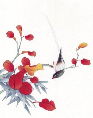 近现代 佚名 花鸟图册huaniaohua3_118[花鸟]