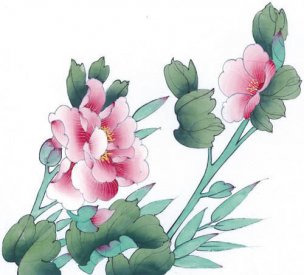 近现代 佚名 花鸟图册huaniaohua3_121[花鸟]