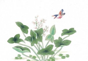 近现代 佚名 花鸟图册huaniaohua3_108[花鸟]