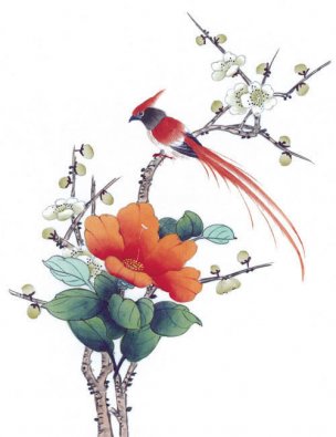 近现代 佚名 花鸟图册huaniaohua3_128[花鸟]