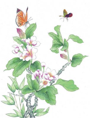 近现代 佚名 花鸟图册huaniaohua3_102[花鸟]