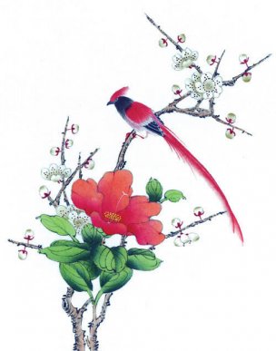近现代 佚名 花鸟图册huaniaohua3_059[花鸟]
