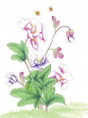 近现代 佚名 花鸟图册huaniaohua3_100[花鸟]