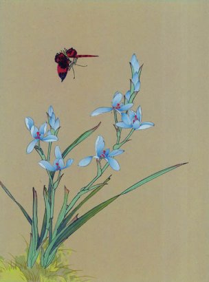 近现代 佚名 花鸟图册huaniaohua3_090[花鸟]