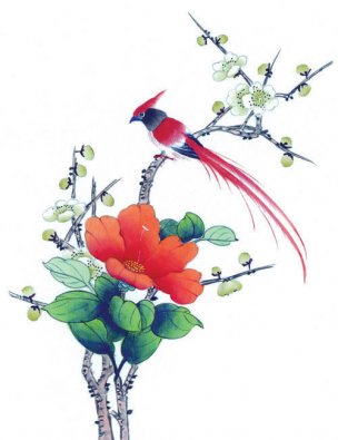 近现代 佚名 花鸟图册huaniaohua3_058[花鸟]