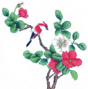 近现代 佚名 花鸟图册huaniaohua3_061[花鸟]