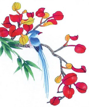 近现代 佚名 花鸟图册huaniaohua3_069[花鸟]