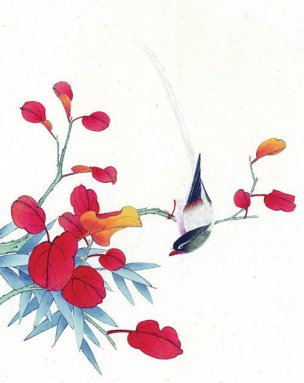 近现代 佚名 花鸟图册huaniaohua3_087[花鸟]