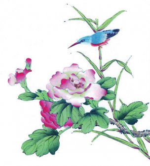 近现代 佚名 花鸟图册huaniaohua3_057[花鸟]