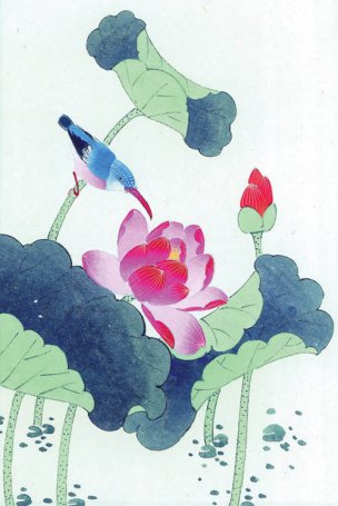 近现代 佚名 花鸟图册huaniaohua3_084[花鸟]